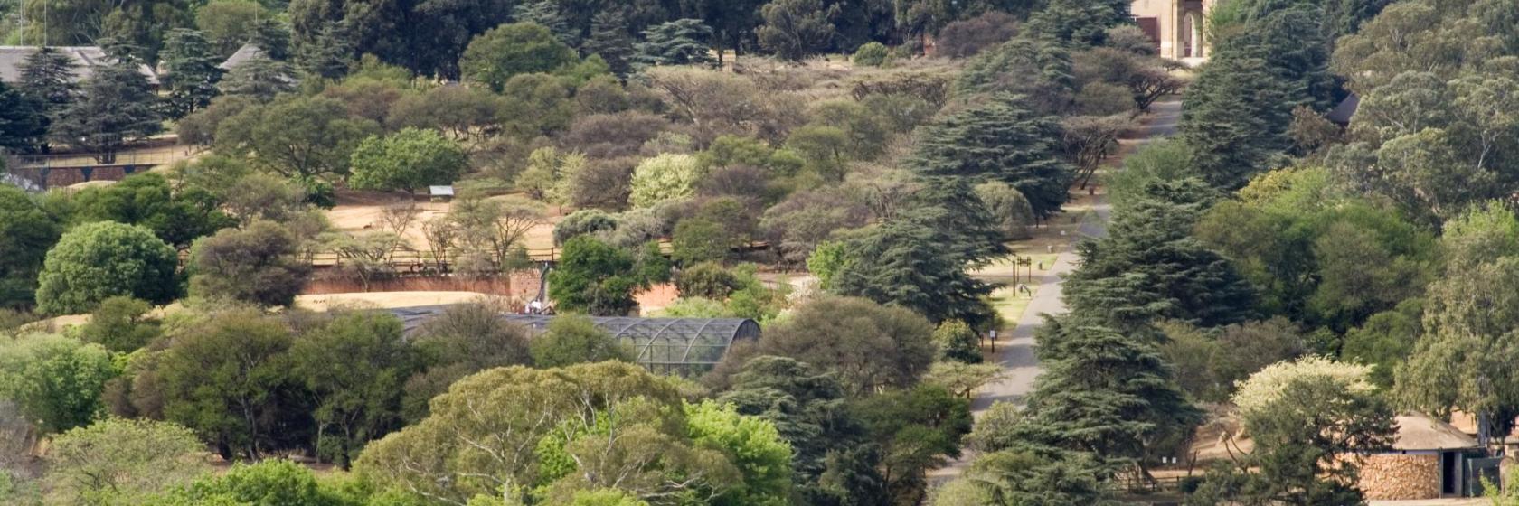 Johannesburg Zoo